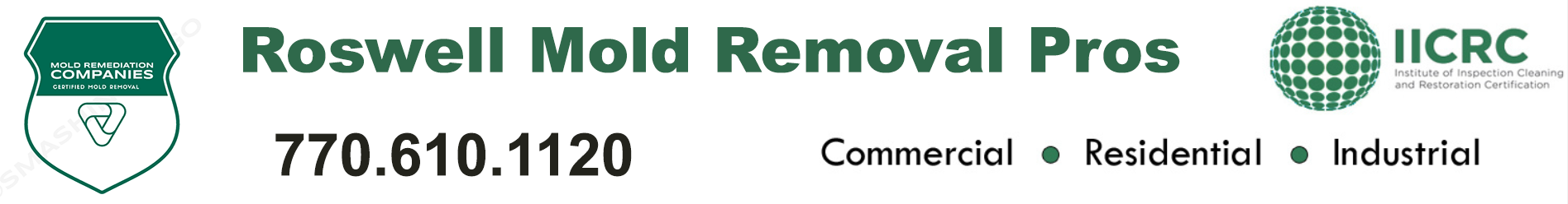 Roswell Mold Removal Pros