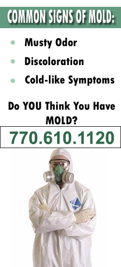 Roswell Mold Remediation Contractor